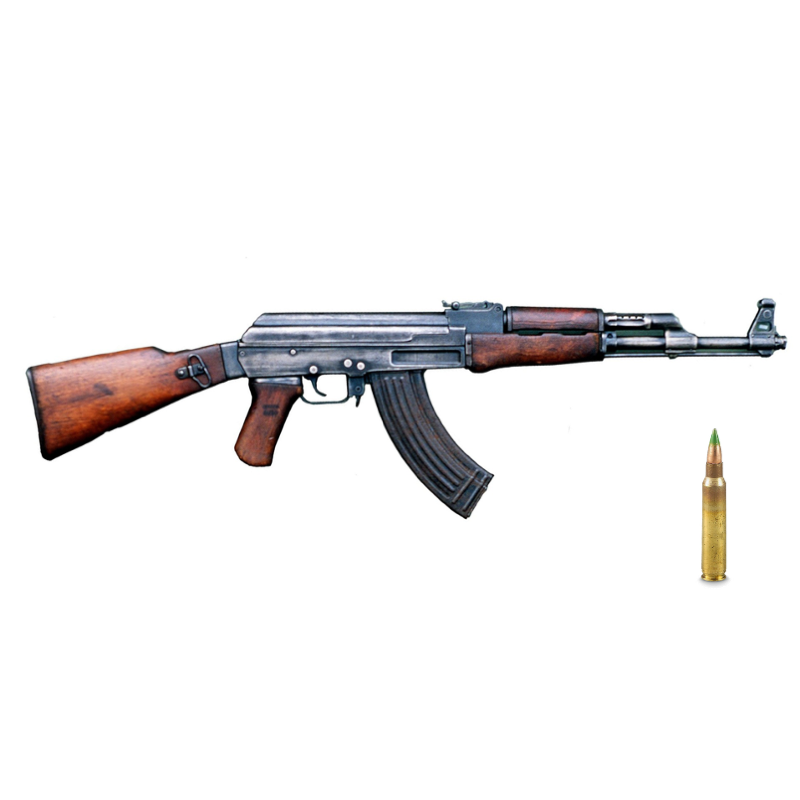 Карабин из арсенала RigaShoot